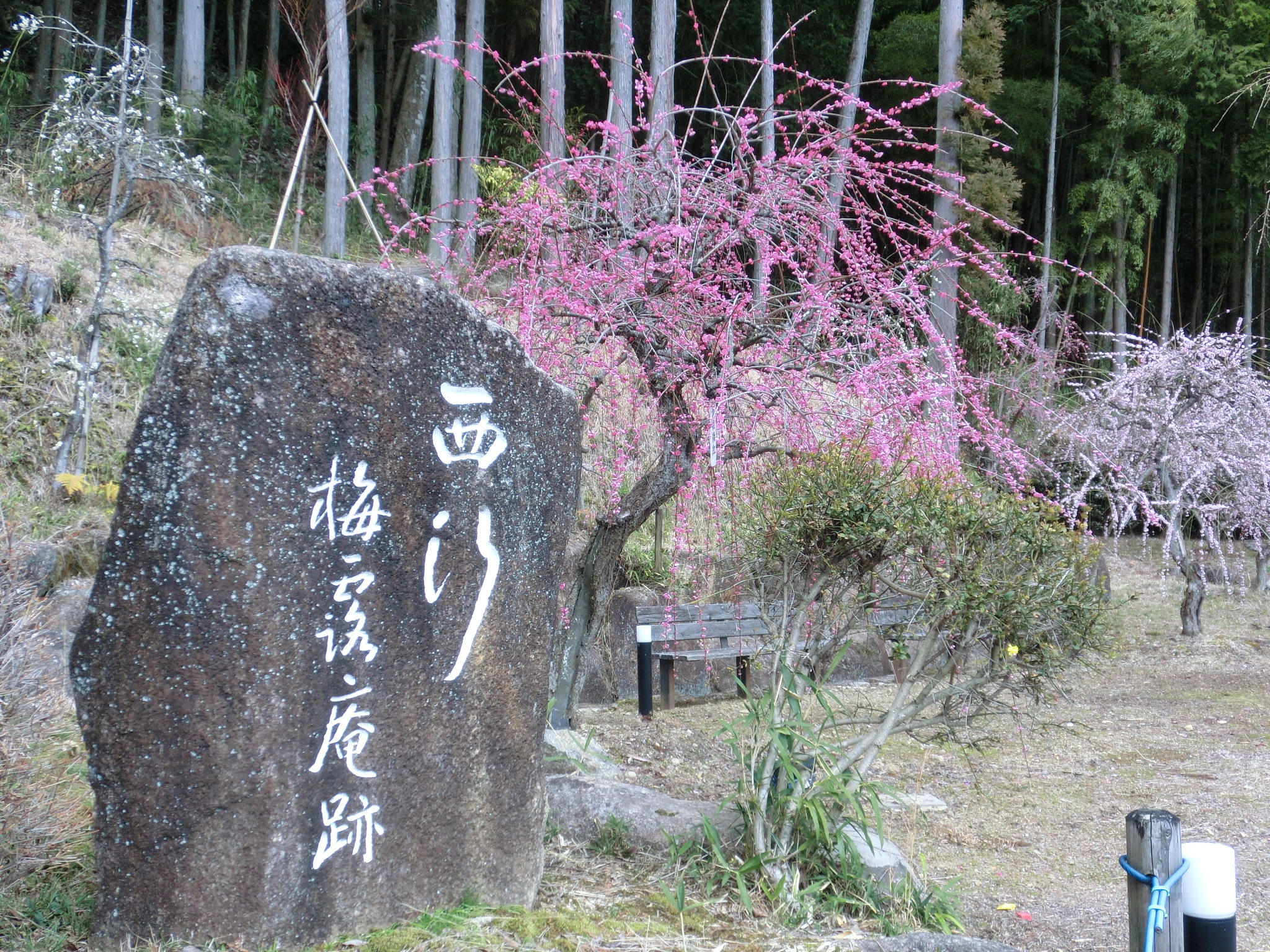 長島町 え な恵那 岐阜県恵那市観光サイト 一般社団法人恵那市観光協会