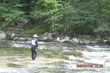 上村川アユ釣り解禁