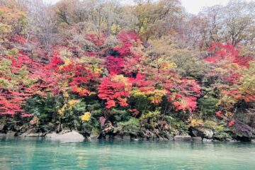 今年の恵那峡の紅葉です